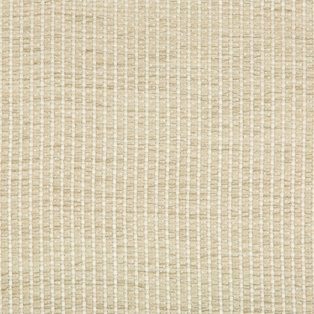 35123-1611 by Kravet Design Fabric PERFORMANCE CRYPTON HOME RAYON - 85%;COTTON - 14%;NYLON - 1% United States HEAVY Horizontal: 0 and Vertical: 0 54.5 - Fabric Carolina -