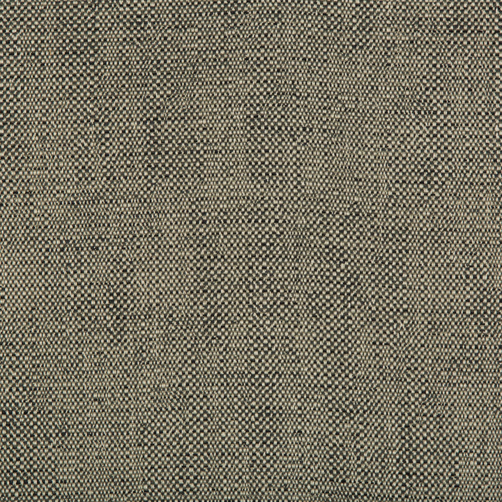 35132-21 by Kravet Contract Designer Fabric INCASE CRYPTON GIS RAYON - 78%;COTTON - 21%;NYLON - 1% United States HEAVY Horizontal: 0 and Vertical: 0 57 - Swanky Fabrics -