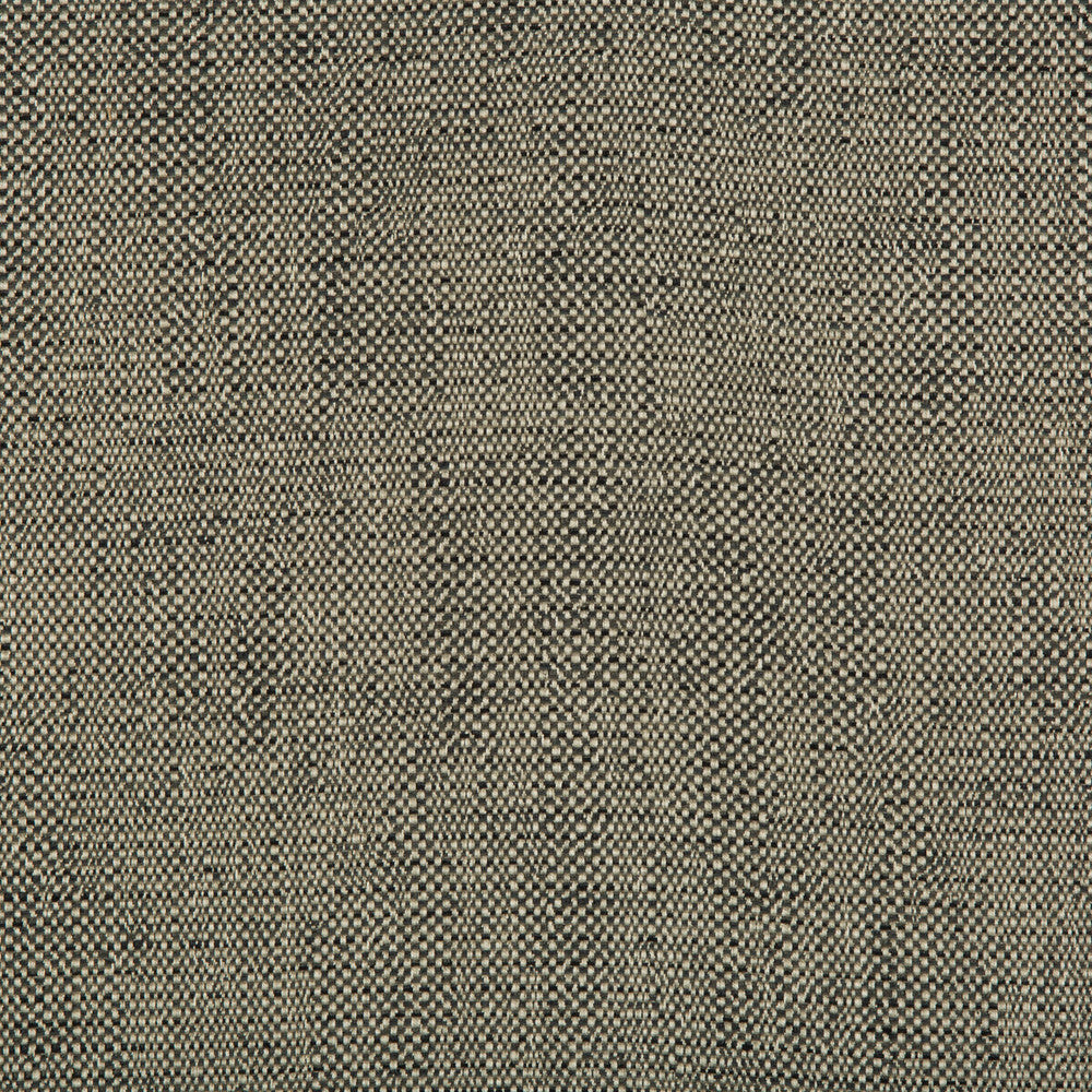 35132-21 by Kravet Contract Fabric INCASE CRYPTON GIS RAYON - 78%;COTTON - 21%;NYLON - 1% United States HEAVY Horizontal: 0 and Vertical: 0 57 - Fabric Carolina -