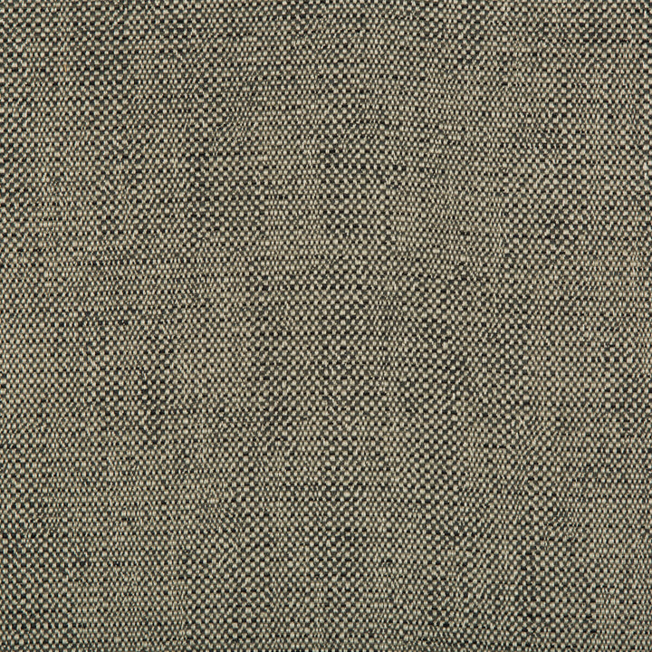 35132-21 by Kravet Contract Fabric INCASE CRYPTON GIS RAYON - 78%;COTTON - 21%;NYLON - 1% United States HEAVY Horizontal: 0 and Vertical: 0 57 - Fabric Carolina -