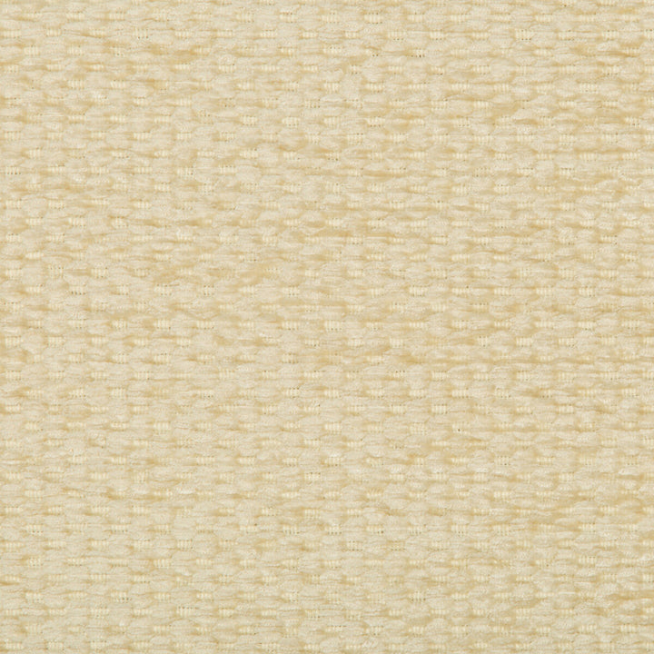 35133-116 by Kravet Design Fabric PERFORMANCE CRYPTON HOME ACRYLIC - 79%;POLYESTER - 21% United States HEAVY Horizontal: 0 and Vertical: 0 56.5 - Fabric Carolina -