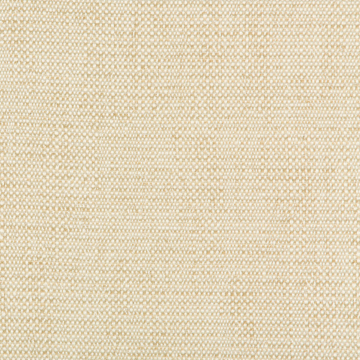 Kravet Design 35135-116 by Kravet Design Fabric Kravet Design Fabric Kravet Design 35135-116Fabric PERFORMANCE CRYPTON HOME RAYON - 78%;COTTON - 21%;NYLON - 1% United States </p><p>Repeat: H: 0, V: 0 57 - Fabric Carolina -