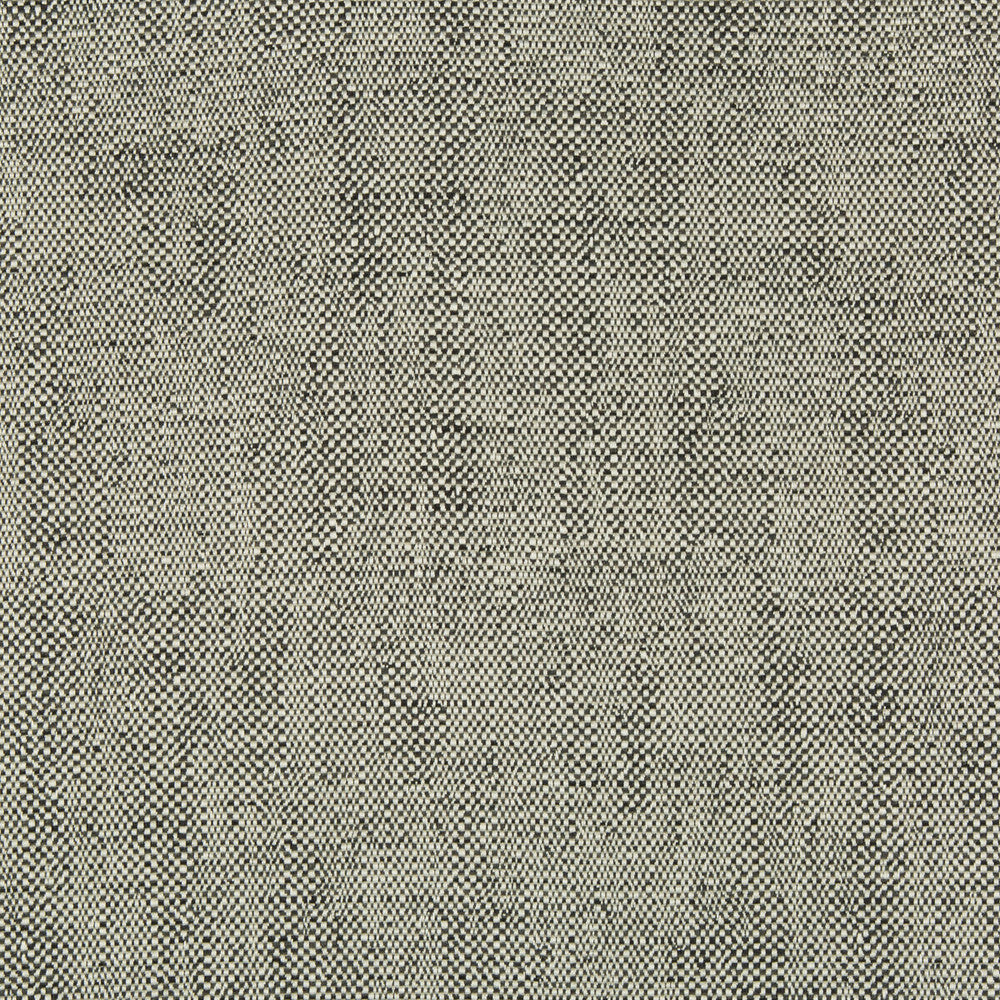 35135-81 by Kravet Design Fabric PERFORMANCE CRYPTON HOME RAYON - 78%;COTTON - 21%;NYLON - 1% United States HEAVY Horizontal: 0 and Vertical: 0 57 - Fabric Carolina -