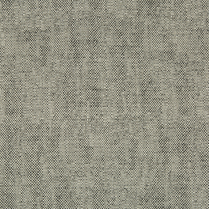 35135-81 by Kravet Design Designer Fabric PERFORMANCE CRYPTON HOME RAYON - 78%;COTTON - 21%;NYLON - 1% United States HEAVY Horizontal: 0 and Vertical: 0 57 - Swanky Fabrics -