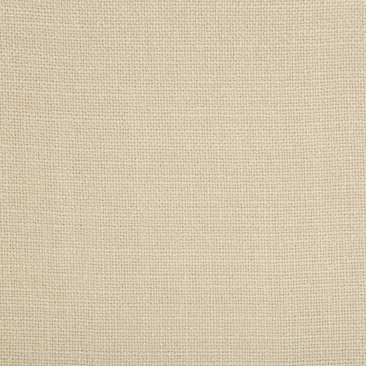 35145-1116 by Kravet Smart Fabric - POLYESTER - 90%;LINEN - 10% China HEAVY Horizontal: 0 and Vertical: 0 56 - Fabric Carolina -