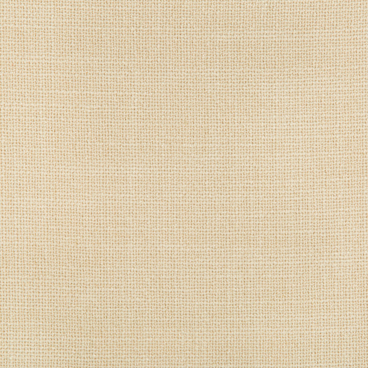 35145-116 by Kravet Smart Fabric - POLYESTER - 90%;LINEN - 10% China HEAVY Horizontal: 0 and Vertical: 0 56 - Fabric Carolina -