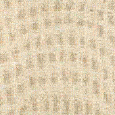 Kravet Smart 35145-116 by Kravet Smart Fabric