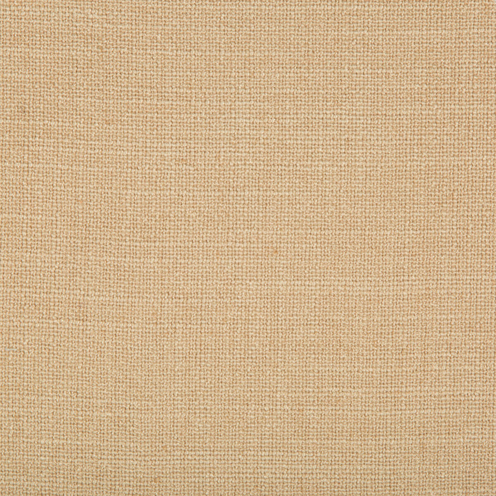 35145-16 by Kravet Smart Fabric POLYESTER - 90%;LINEN - 10% China HEAVY Horizontal: 0 and Vertical: 0 56 - Fabric Carolina -