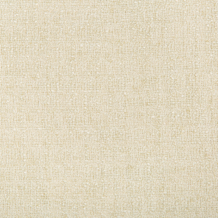 35147-1 by Kravet Smart Fabric POLYESTER - 91%;LINEN - 9% India HEAVY Horizontal: 0 and Vertical: 0 55 - Fabric Carolina -