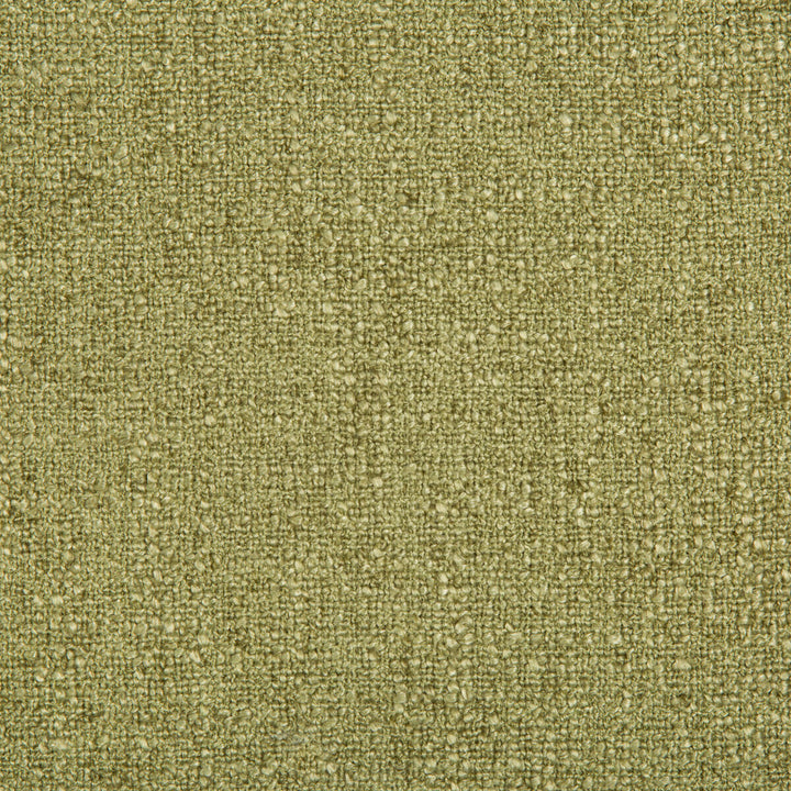 35147-23 by Kravet Smart Fabric POLYESTER - 91%;LINEN - 9% India HEAVY Horizontal: 0 and Vertical: 0 55 - Fabric Carolina -