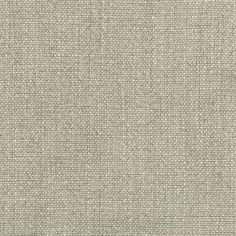 35189.1111 by Kravet Basics Designer Fabric our website for purchase Rayon 75%, Linen 15%, Cotton 10% China Heavy Horizontal: see sample and Vertical: see sample 54 inches - Swanky Fabrics -