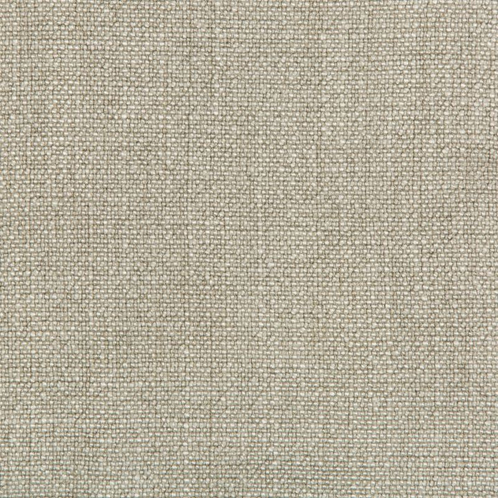 35189.1111 by Kravet Basics Designer Fabric our website for purchase Rayon 75%, Linen 15%, Cotton 10% China Heavy Horizontal: see sample and Vertical: see sample 54 inches - Swanky Fabrics -
