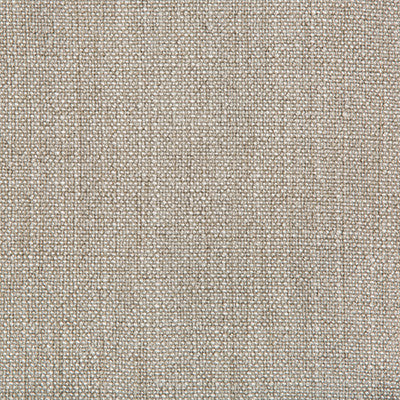 Kravet Basics 35189-1006 by Kravet Basics Fabric