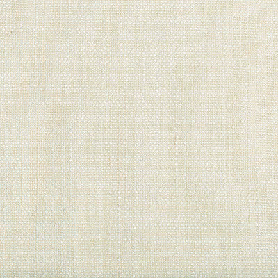 Kravet Basics 35189-111 by Kravet Basics Fabric