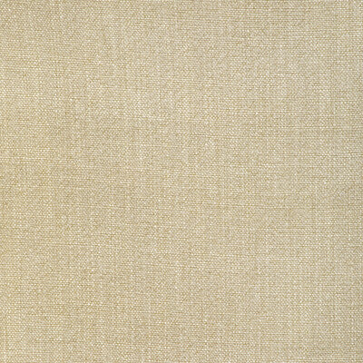 Kravet Basics - Multipurpose - 35189.116.0 - Multipurpose - RAYON - 75%;LINEN - 15%;COTTON - 10% - China </p><p>Repeat: H: , V: 27.5 21 - My Fabric Connection -