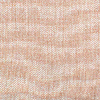 Kravet Basics 35189-117 by Kravet Basics Fabric