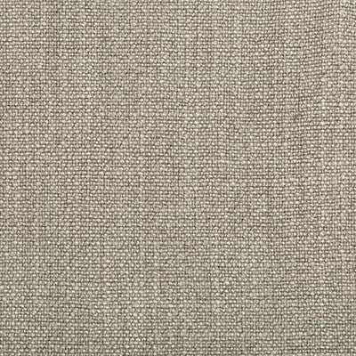 Kravet Basics 35189-1606 by Kravet Basics Fabric