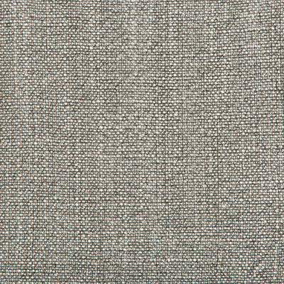Kravet Basics 35189-2111 by Kravet Basics Fabric
