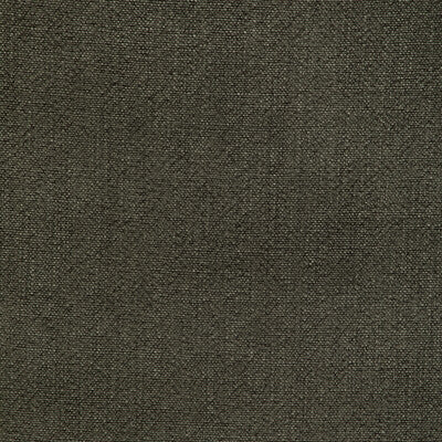 Kravet Basics - Multipurpose - 35189.311.0 - Multipurpose - RAYON - 75%;LINEN - 15%;COTTON - 10% - China </p><p>Repeat: H: , V: 27.5 21 - My Fabric Connection -