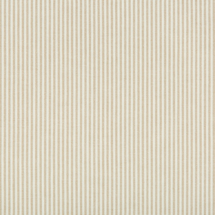 35199-116 by Kravet Basics Fabric - COTTON - 100% Portugal HEAVY Horizontal: 0 and Vertical: 0 54 - Fabric Carolina -