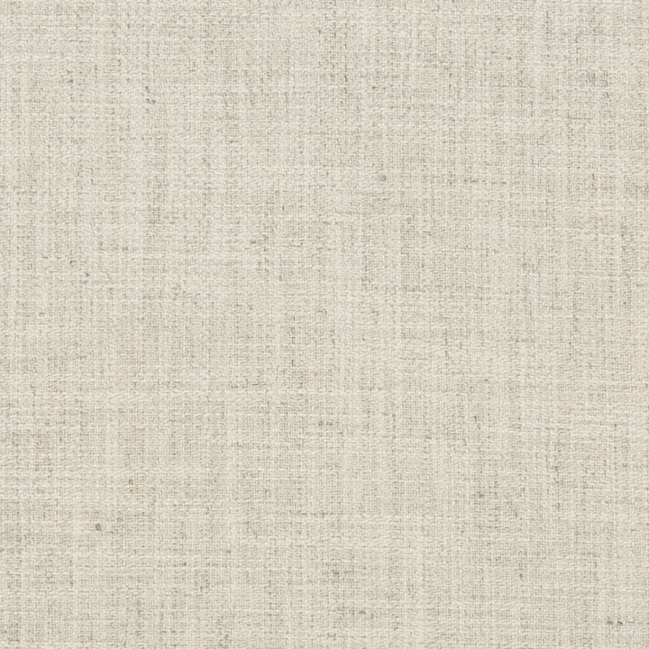 35220-116 by Kravet Basics Fabric - POLYESTER - 91%;LINEN - 9% China HEAVY Horizontal: 0.5 and Vertical: - 55 - Fabric Carolina -