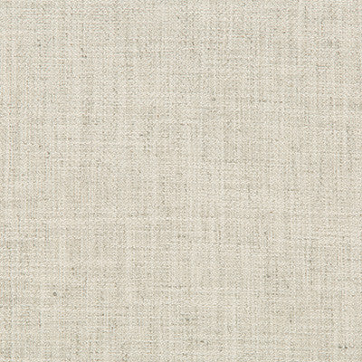 Kravet Basics 35220-116 by Kravet Basics Fabric