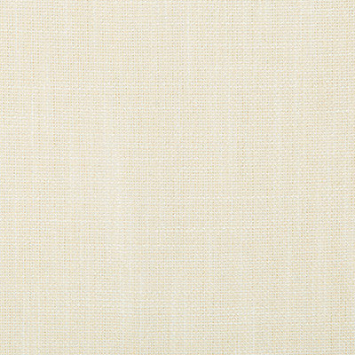 Kravet Smart 35226-101 by Kravet Smart Fabric