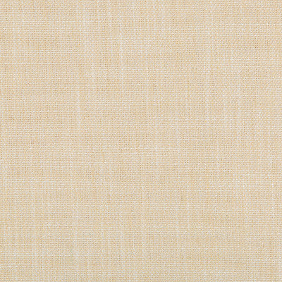 Kravet Smart 35226-116 by Kravet Smart Fabric