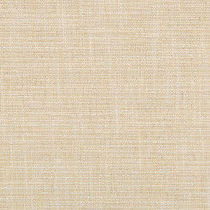 Kravet Smart 35226-116 by Kravet Smart Fabric