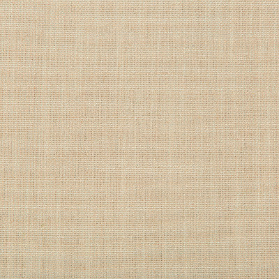 Kravet Smart 35226-1616 by Kravet Smart Fabric