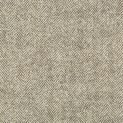 Kravet Smart 35228-1121 by Kravet Smart Fabric