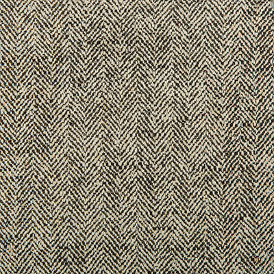 Kravet Smart 35228-81 by Kravet Smart Fabric