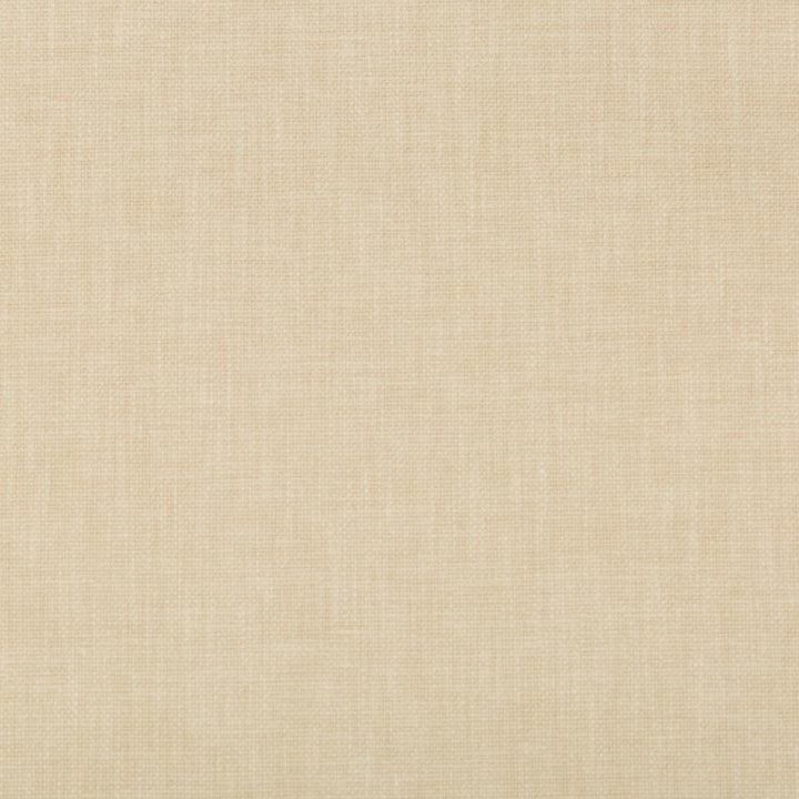 35245-16 by Kravet Basics Fabric - COTTON - 50%;POLYESTER - 50% India HEAVY Horizontal: 0 and Vertical: 0 55 - Fabric Carolina -