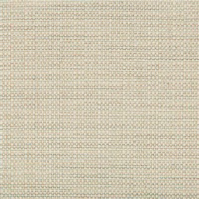 Kravet Basics 35250-1611 by Kravet Basics Fabric