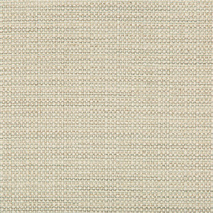 Kravet Basics 35250-1611 by Kravet Basics Fabric