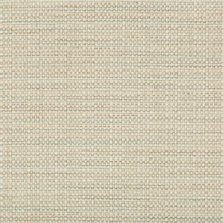 35250-1611 by Kravet Basics Fabric - POLYESTER - 69%;COTTON - 15%;LINEN - 8%;VISCOSE - 8% India MEDIUM Horizontal: 1 and Vertical: 0.5 54 - Fabric Carolina -