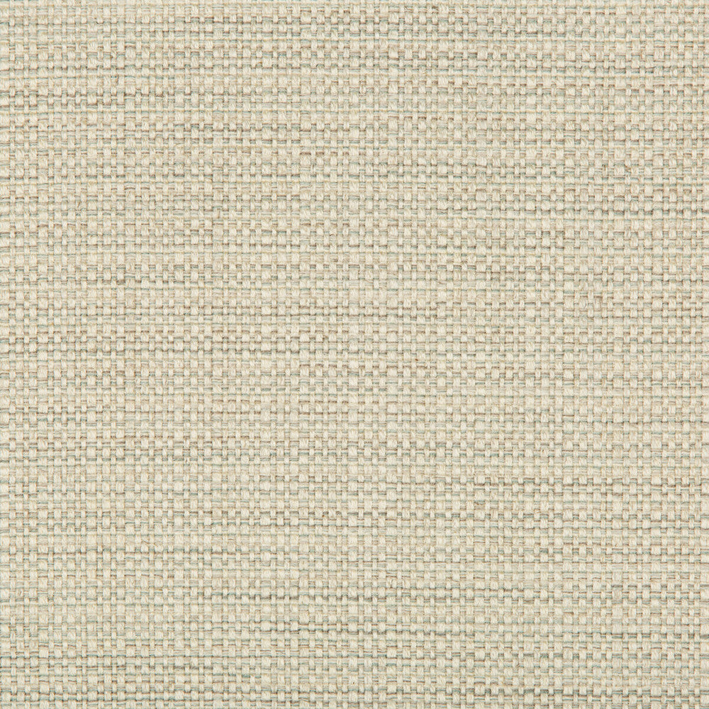 Kravet Basics 35250-1611 by Kravet Basics Fabric Kravet Basics Fabric Kravet Basics 35250-1611Fabric POLYESTER - 69%;COTTON - 15%;LINEN - 8%;VISCOSE - 8% India </p><p>Repeat: H: 1, V: 0.5 54 - Fabric Carolina -