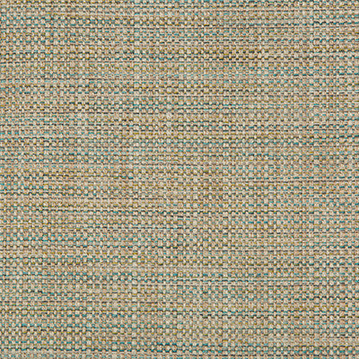 Kravet Basics 35250-316 by Kravet Basics Fabric