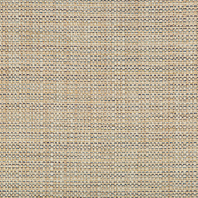 Kravet Basics 35250-516 by Kravet Basics Fabric