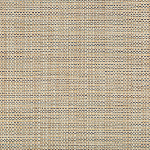 Kravet Basics 35250-516 by Kravet Basics Fabric
