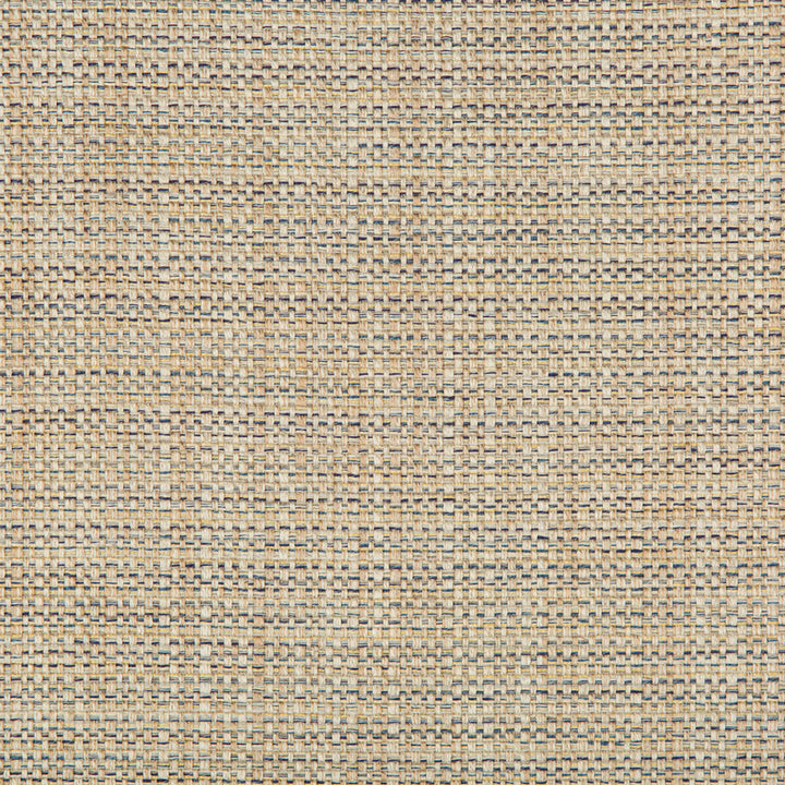 35250-516 by Kravet Basics Fabric - POLYESTER - 69%;COTTON - 15%;LINEN - 8%;VISCOSE - 8% India MEDIUM Horizontal: 1 and Vertical: 0.5 54 - Fabric Carolina -