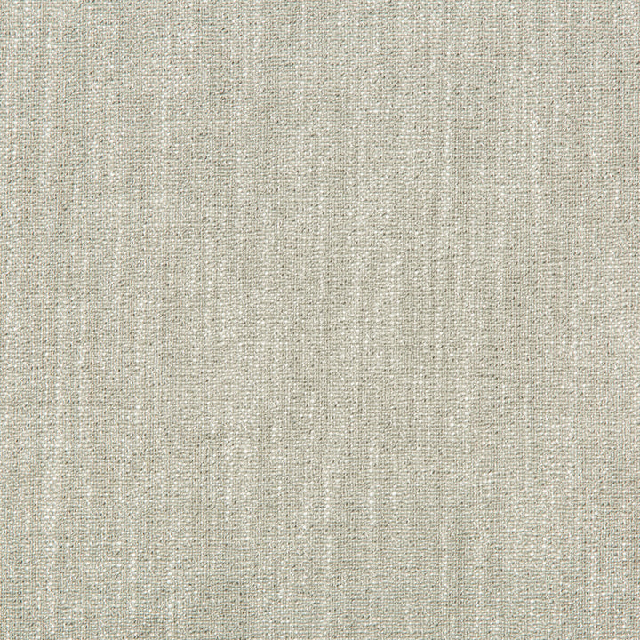 35253-11 by Kravet Basics Fabric POLYESTER - 78%;VISCOSE - 22% India Horizontal: and Vertical: 55 - Fabric Carolina -