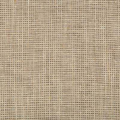 Kravet Basics 35263-106 by Kravet Basics Fabric