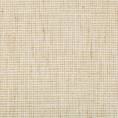 Kravet Basics 35263-116 by Kravet Basics Fabric