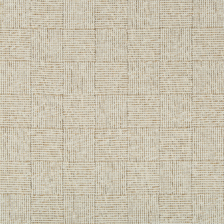 35271-16 by Kravet Basics Fabric - POLYESTER - 77%;RAYON - 23% India HEAVY Horizontal: 3.63 and Vertical: 3.63 55 - Fabric Carolina -