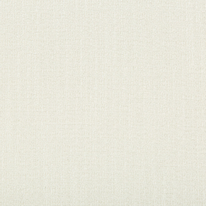 35281-101 by Kravet Basics Fabric - POLYESTER - 100% India HEAVY Horizontal: - and Vertical: - 55 - Fabric Carolina -