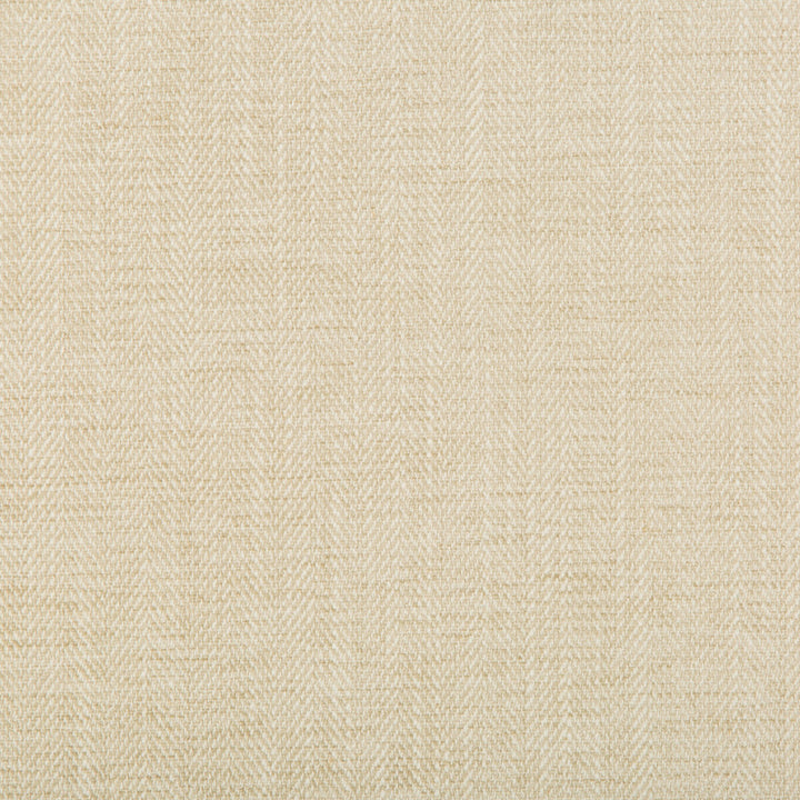 35283-1 by Kravet Basics Fabric POLYESTER - 64%;COTTON - 12%;LINEN - 12%;RAYON - 12% India HEAVY Horizontal: and Vertical: 54.5 - Fabric Carolina -