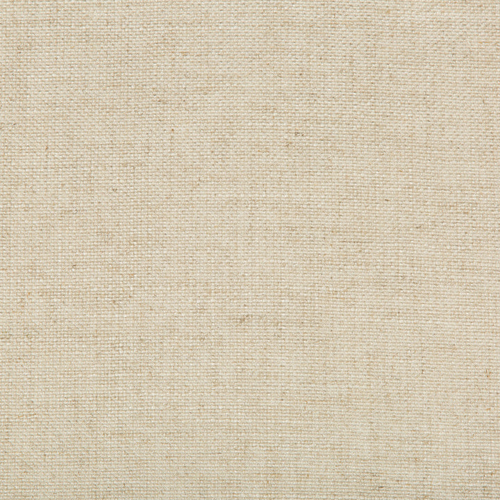 35289-16 by Kravet Basics Fabric - RAYON - 60%;POLYESTER - 28%;LINEN - 12% China MEDIUM Horizontal: - and Vertical: - 56 - Fabric Carolina -
