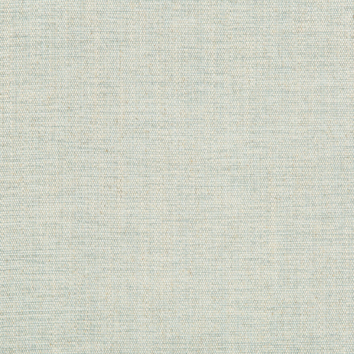 Rutledge Spa by Kravet Basics Designer Fabric GREENWICH COLLECTION ACRYLIC CHENILLE - 50%;COTTON - 19%;LINEN - 11%;POLYESTER - 10%;VISCOSE - 10% Turkey HEAVY Horizontal: - and Vertical: - 54 - Swanky Fabrics -