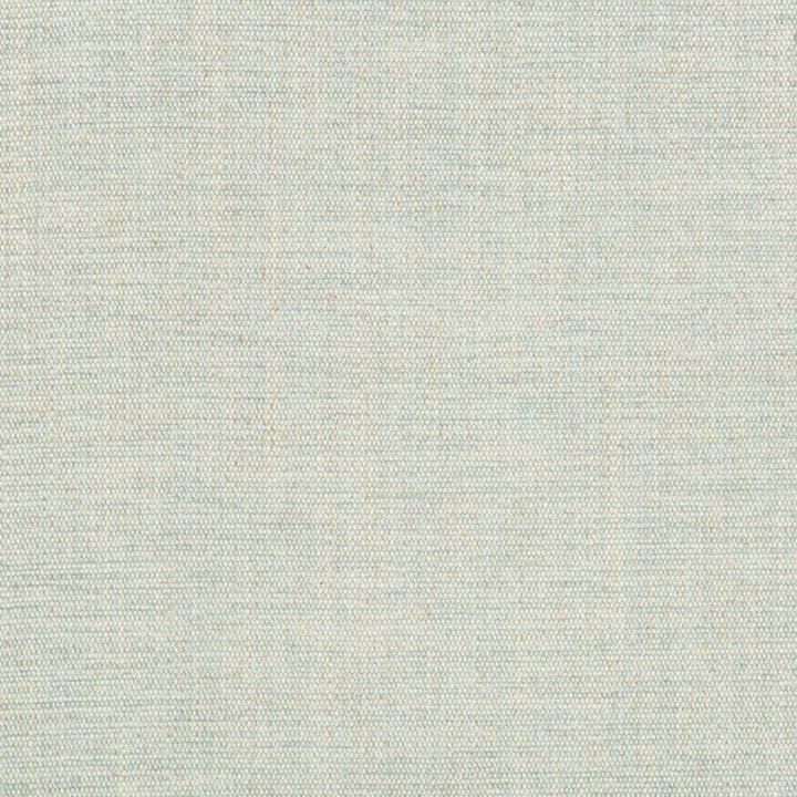 Rutledge Spa by Kravet Basics Fabric GREENWICH COLLECTION ACRYLIC CHENILLE - 50%;COTTON - 19%;LINEN - 11%;POLYESTER - 10%;VISCOSE - 10% Turkey HEAVY Horizontal: - and Vertical: - 54 - Fabric Carolina -